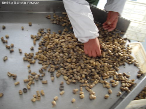 澳克拉食品orkla foods执行总裁应邀访问孚美集团青岛孚美食品工厂