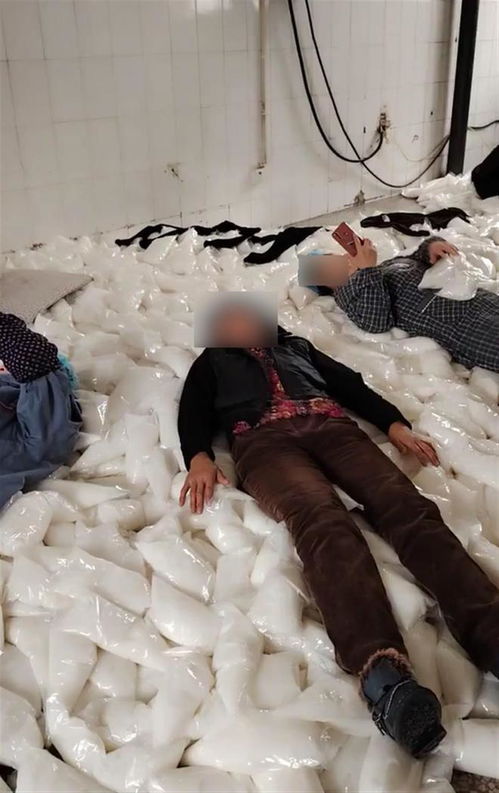 沈阳某食品厂工人躺在袋装食品上休息 市场监管部门介入调查