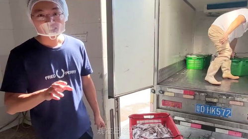 实拍广东食品厂制作潮汕鱼丸,2小时做500斤,流程太讲究大开眼界