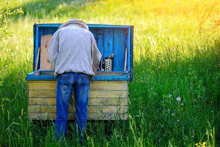 麻疹AI矢量图片-麻疹矢量素材-麻疹矢量