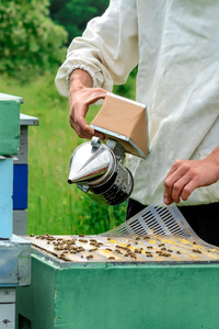 疱疹、荨麻疹与动物 常见皮肤问题的辨识与应对
