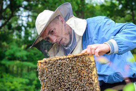 警惕特殊荨麻疹诱因 解密“荒虫”与人像素材的过敏关联