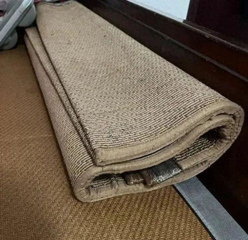 睡凉席醒来满身红点？当心荨麻疹高发，夏季使用凉席有讲究